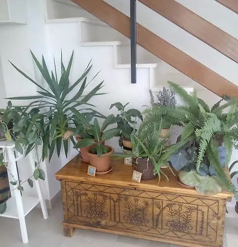 Maretimo Apartamento *